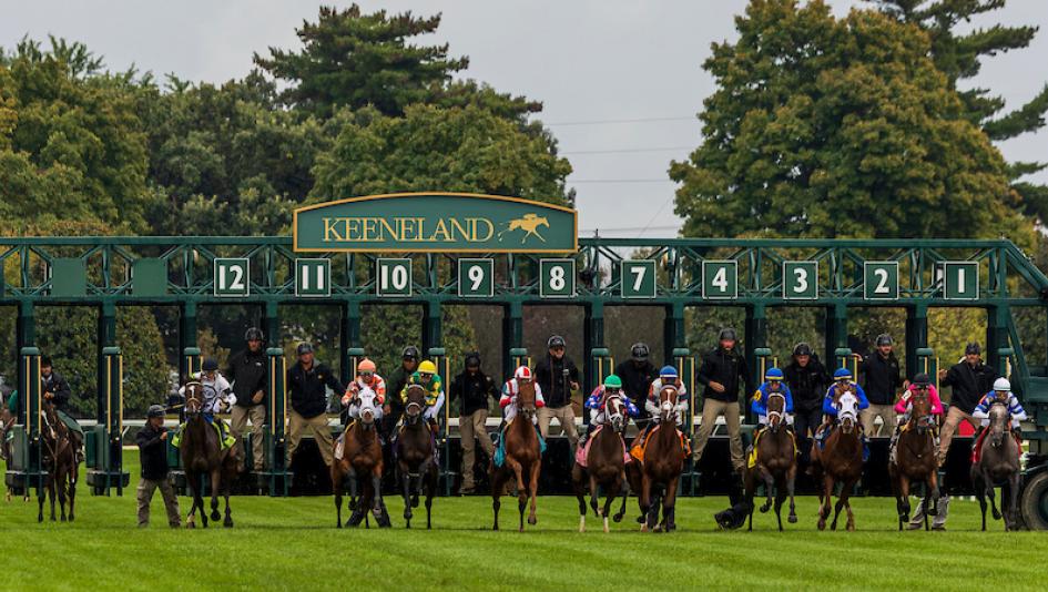 2026 Breeders' Cup Turf at a Glance